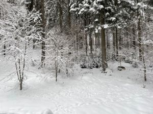 winterwandern-2-tinified